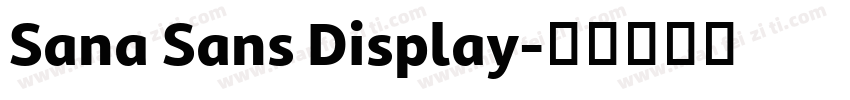Sana Sans Display字体转换